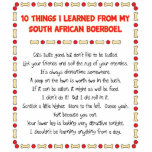 Funny Things I Learned From South African Boerboel Photo Cut Outs