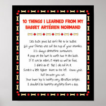 Funny Things Learned From Basset Artésien Normand Poster