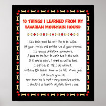 Funny Things Learned From Bavarian Mountain Hound Posters