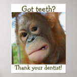 Funny Tooth Gratitude- special request
