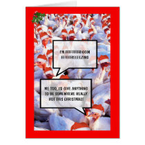 Funny Turkey Christmas Greeting Cards