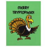 Funny turkey Christmas flyers