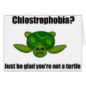 Funny turtle cards