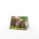 Funny Valentines Day Valentine Sweetheart cards