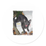 Funny Yelling Cat Sticker
