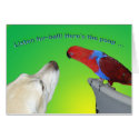 Fur-ball cards