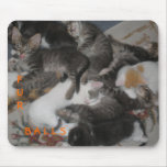 fur balls, mousepads