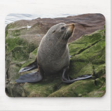 Fur Seal Mouse Mats