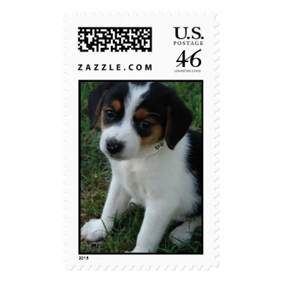 FURever Friends Humane Society beagle postage by FureverFriends