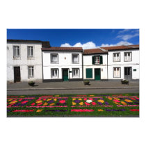 Furnas - Azores