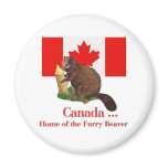 Furry Beaver