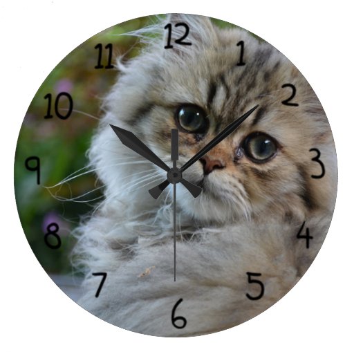 Furry Cat Wall Clock Zazzle