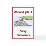 Furry Christmas cards