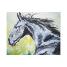 Fury Stretched Canvas Prints