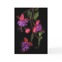 Fuschia Blossoms on Black Greeting Card