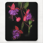 Fuschia Blossoms on Black Mouse Mat