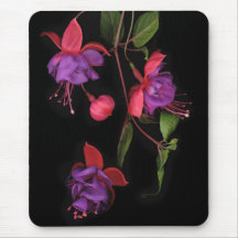 Fuschia Blossoms on Black Mouse Mat