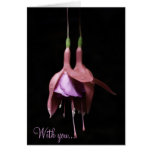 Fuschia cards