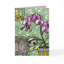 Fuschia,Kitty&Tweet (Card)