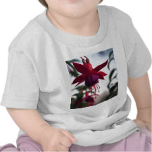 Fuschia Shirt