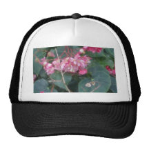 fuschia trucker hats