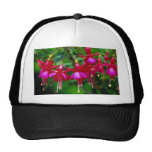 Fuschias Mesh Hat