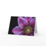 Fuscia Clematis Close-up Card