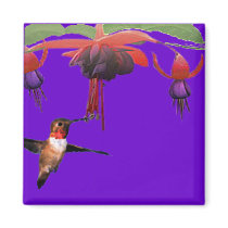 Fushia and Hummingbird Refrigerator Magnets
