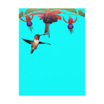 Fushia and Hummingbird Postcard