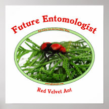 Future Entomologist Loves Bugs Print