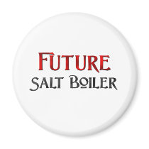 Future Salt Boiler