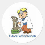 Future Veterinarian - Little Boy Sticker