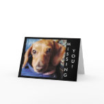 futuu no marron, MISSING, YOU! Card