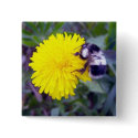 Fuzzy Bee Button