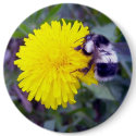 Fuzzy Bee Button