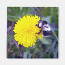 Fuzzy Bee Magnet
