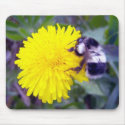Fuzzy Bee Mousepad