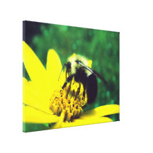 Fuzzy Bumblebee Canvas Gallery Wrapped Canvas