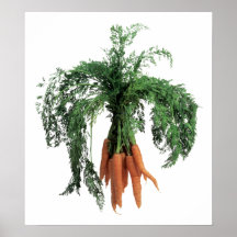 Fuzzy Carrot Poster