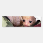 Fuzzy Gold III Bumper Stickers