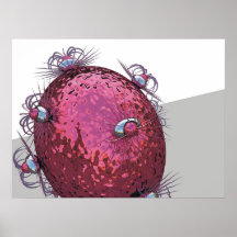 G05 POSTER