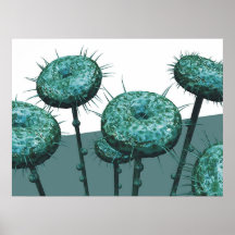 G06 POSTER