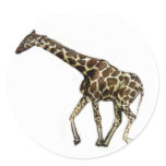 G is for Giraffe stickers