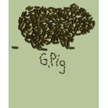 G. Pig w/Single Poop t-shirts