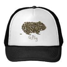 "G. Pig" with Classic Guinea Pig Hat