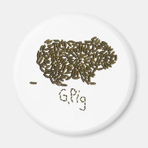 "G. Pig" with Classic Guinea Pig Magnets