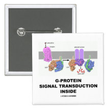G-Protein Signal Transduction Inside Button