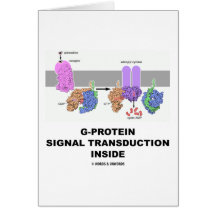 G-Protein Signal Transduction Inside Greeting Cards