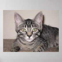 Gabby Print