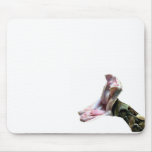 gaboon-viper- mousepads